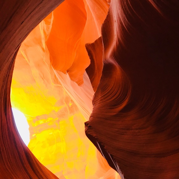 Meet your Posher, Hannah - Picture 1 of 1